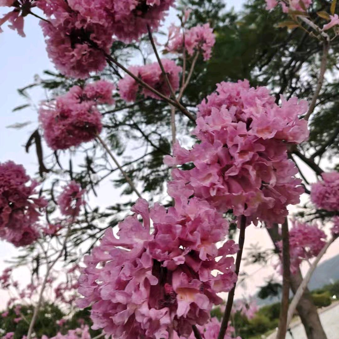 知足常乐，