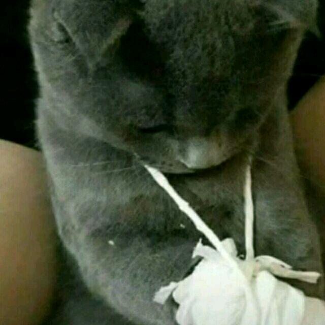 慕澈