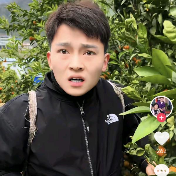 高杰【718】授权切片