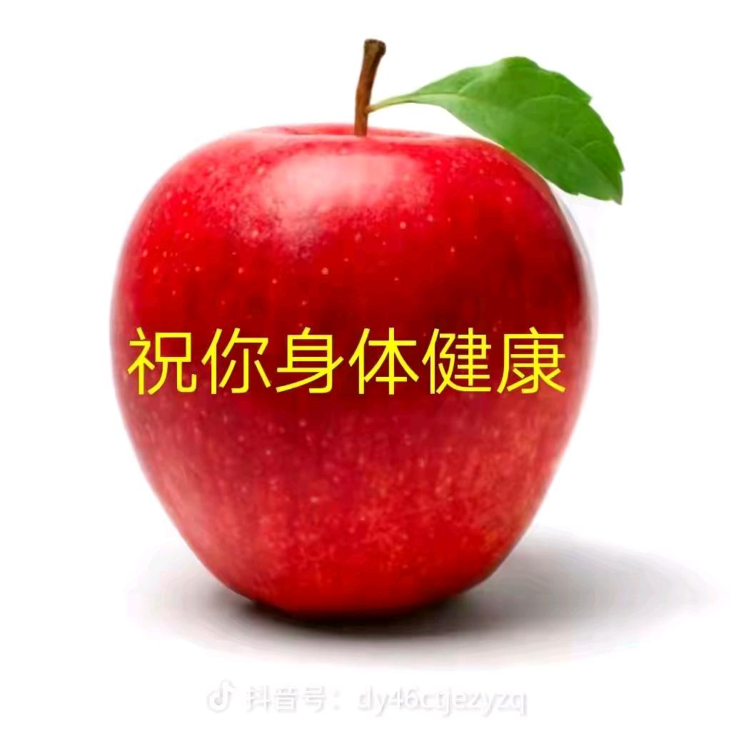 生产提升机输送机各种链条