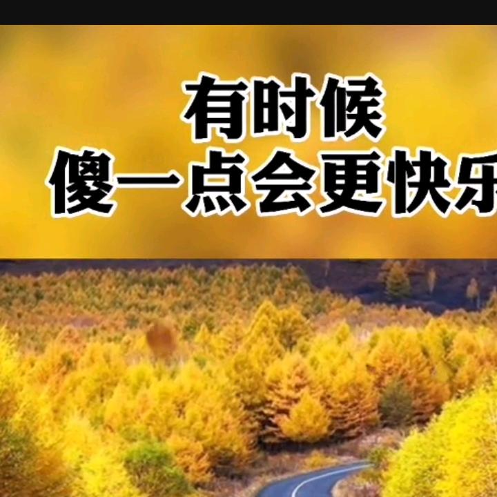 只看不刷