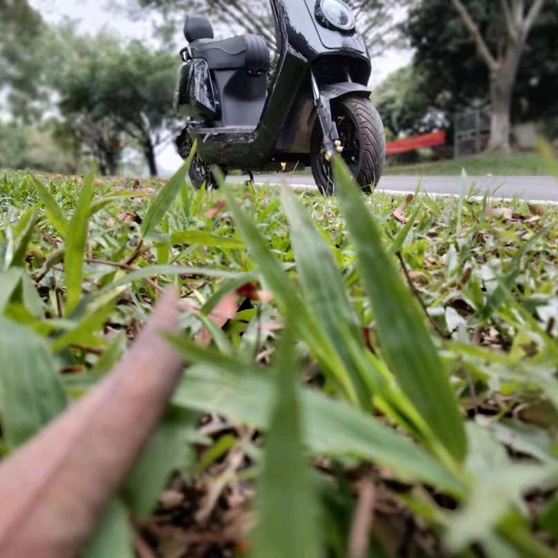 小小靓