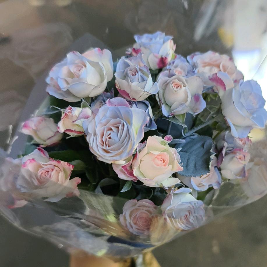 今天也没睡醒～