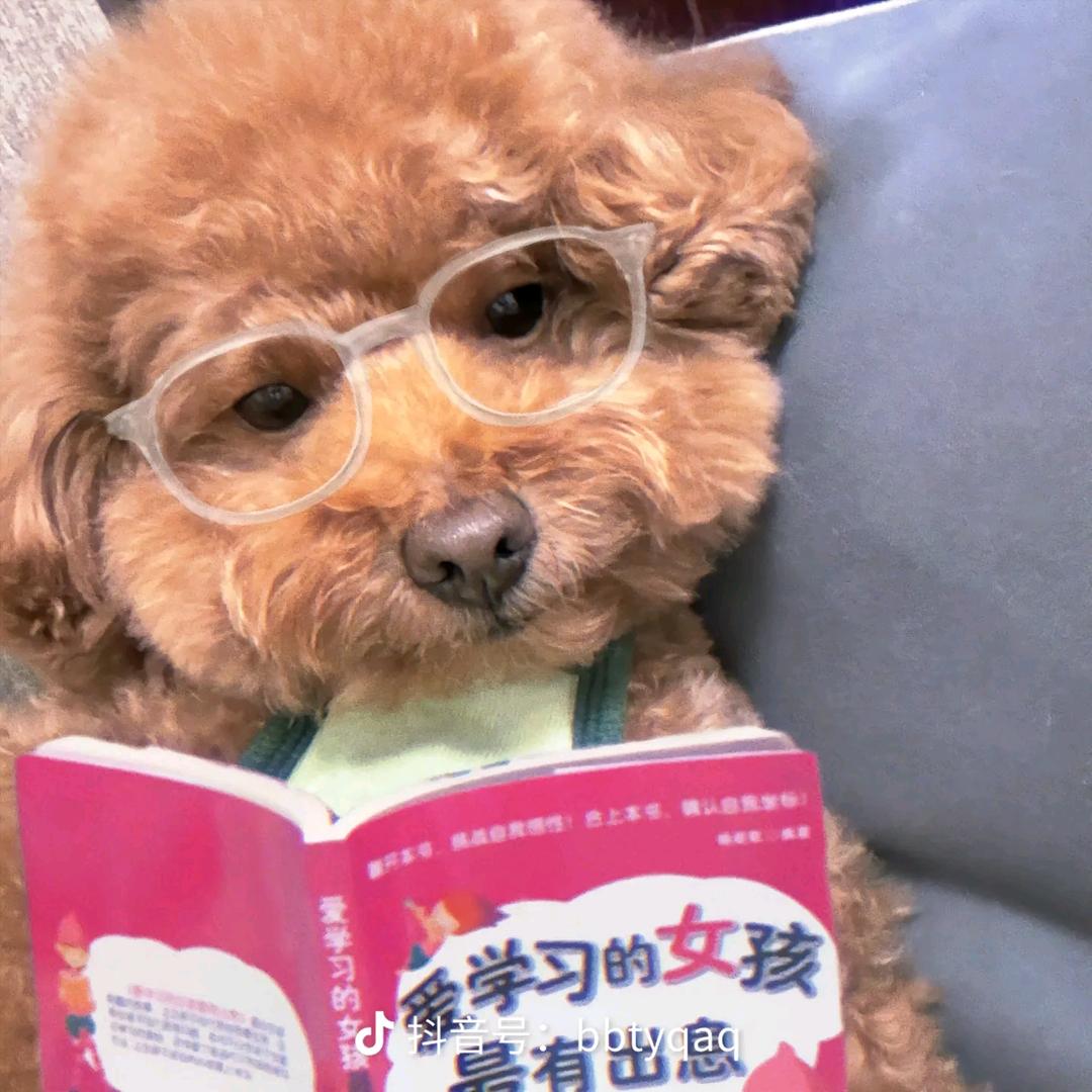 Aaaaa肌肉男批发张姐