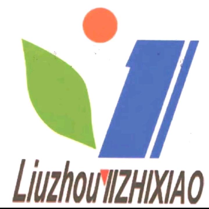 广西升学指导林老师