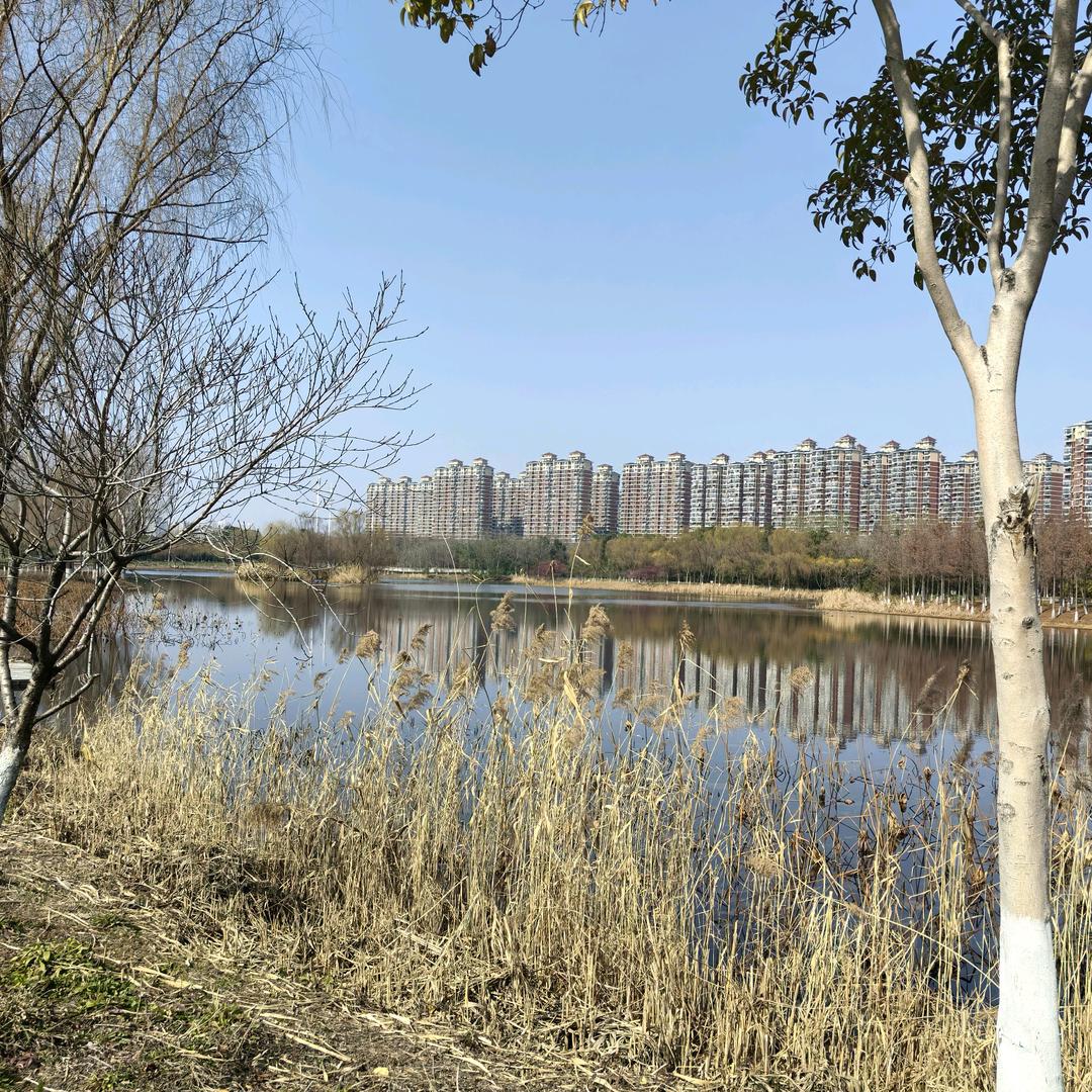 刘力铭