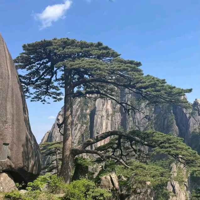 清醒