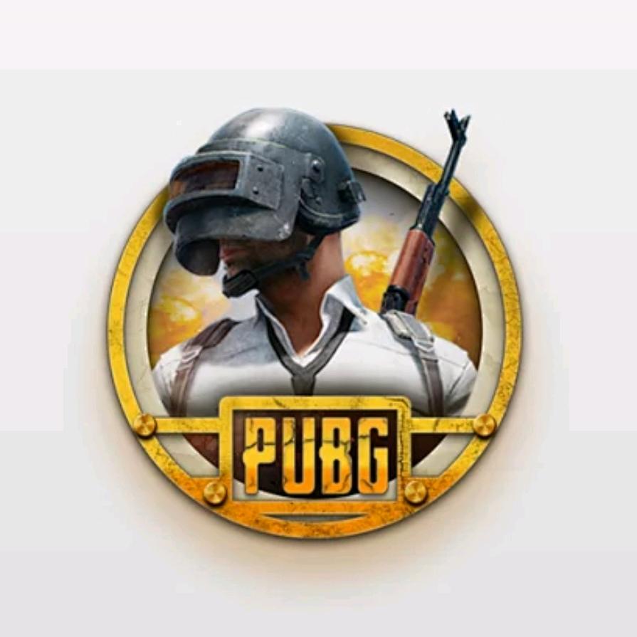 🇨🇳PUBG