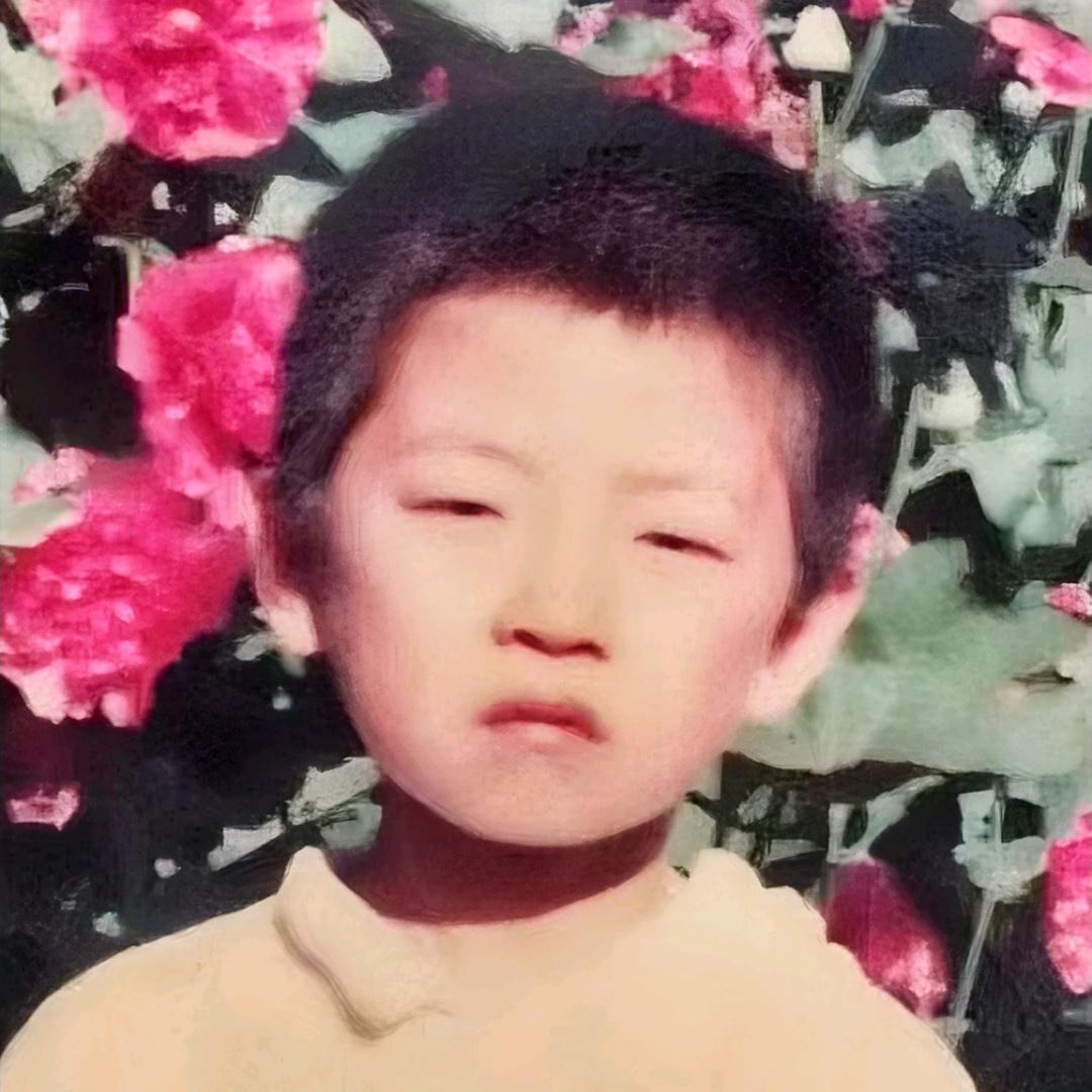 老杨