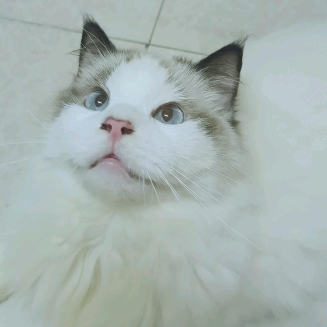 eric