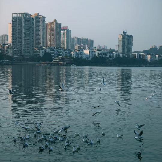 岁随岁愿
