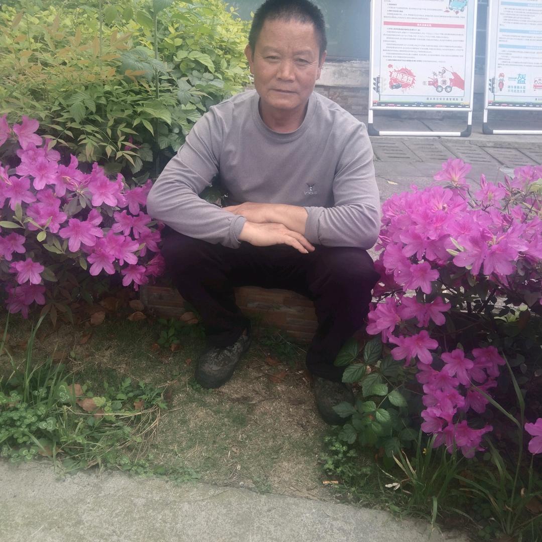 利平