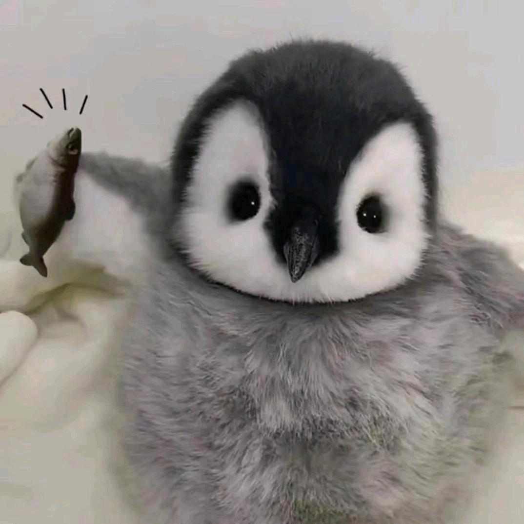 早了个安