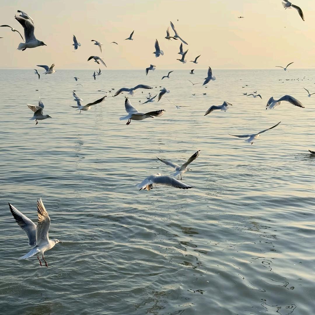 不惧岁月，不惧风