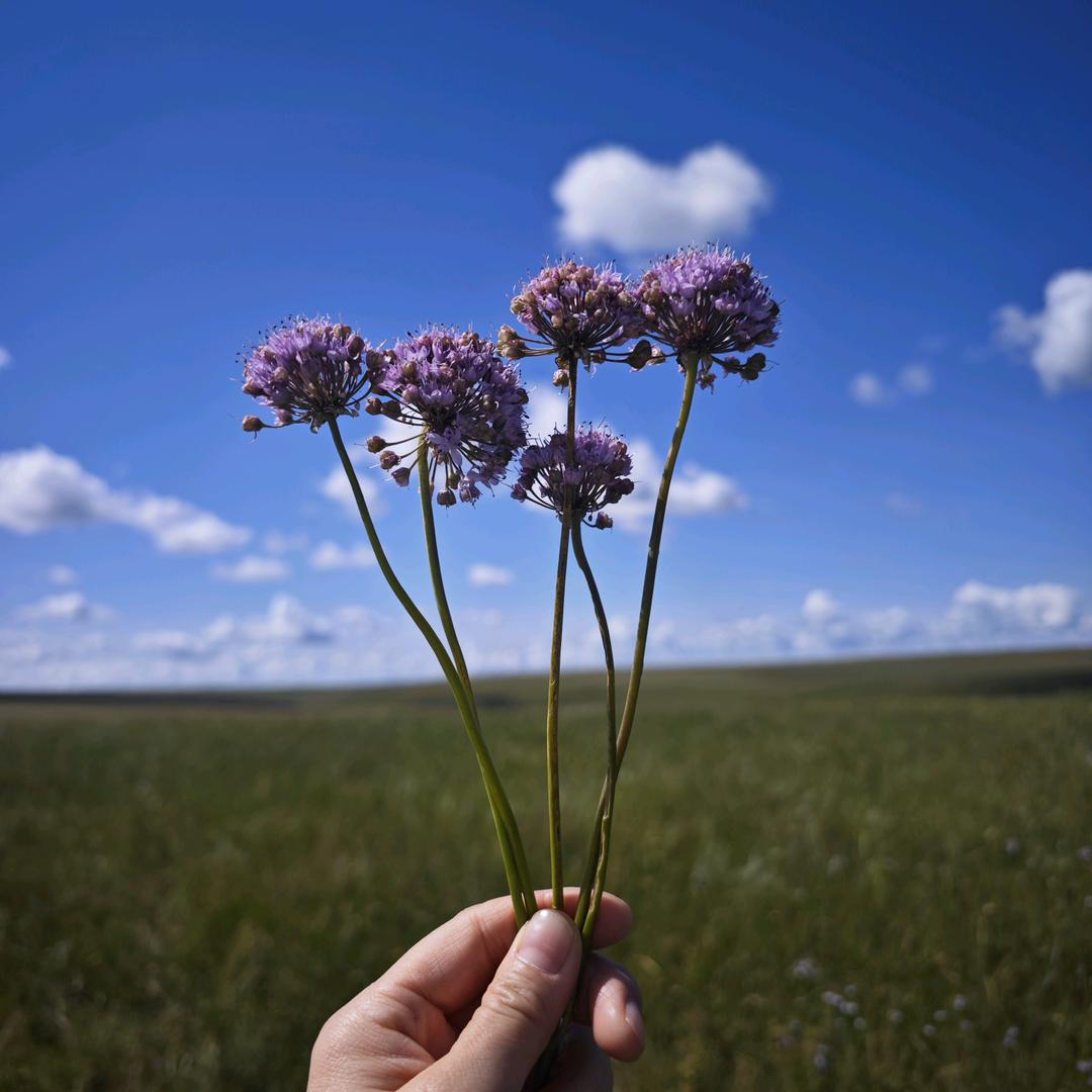 ୧⍤⃝🍓请你吃唐僧肉୧⍤⃝🌸୧⍤