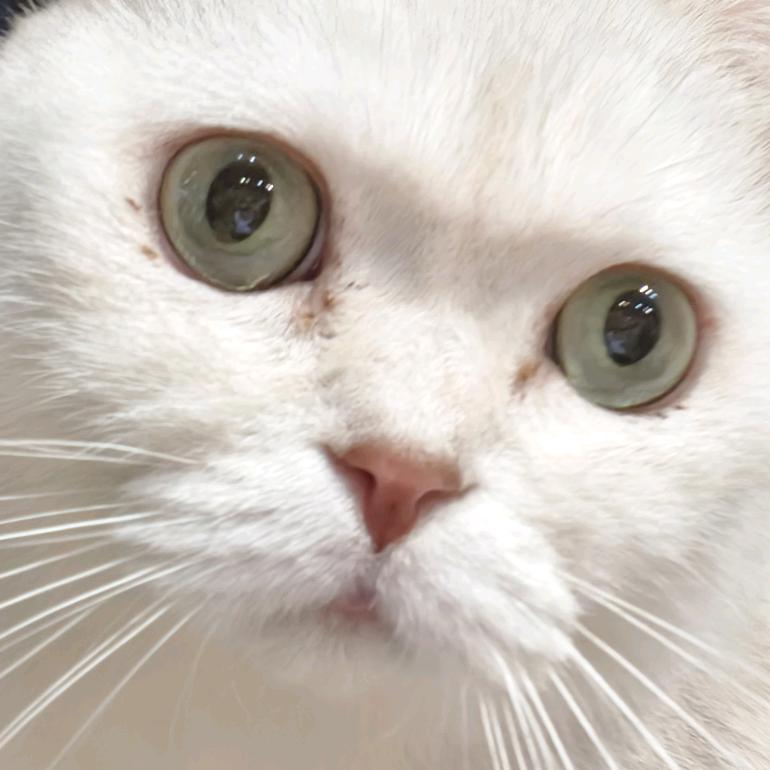 eeeeee