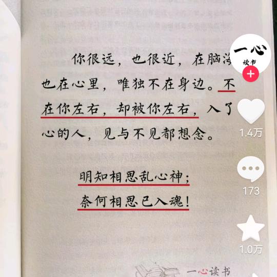 公爵先生