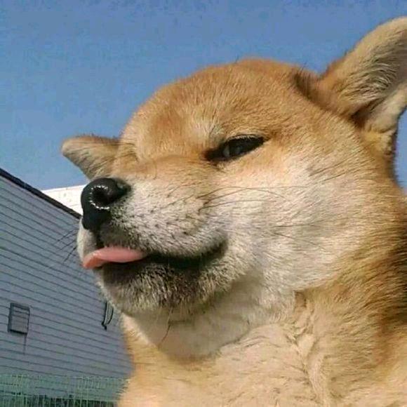 4321