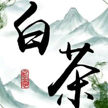 白茶