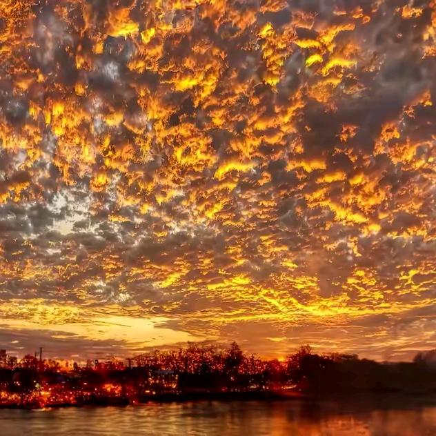 ꧁亮哥꧂：我来了এ⁵²º᭄