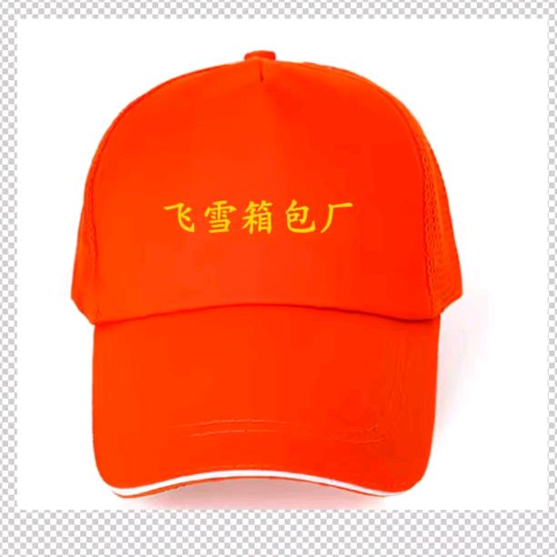 飞雪箱包工厂店