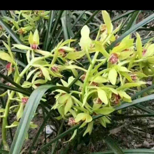 风雨见彩虹🌈💋🍓🍇