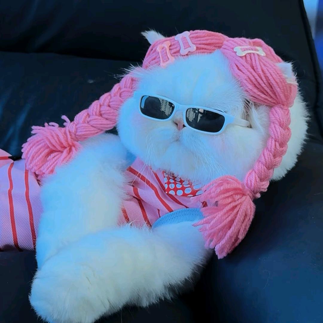 ღ᭄ꦿℒℴѵℯ归零