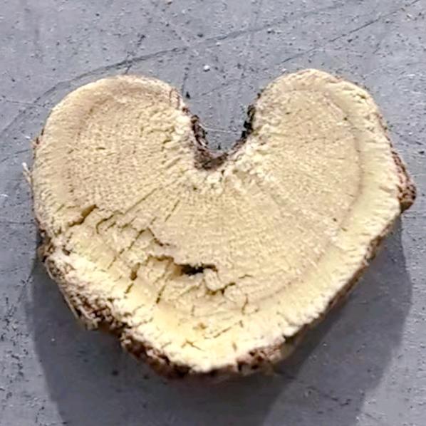 本草真源《中药知识科普》