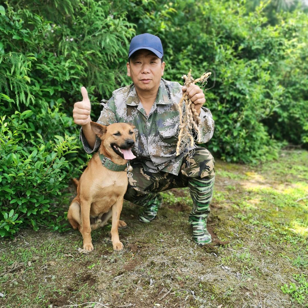 九顷塘畔一闲云