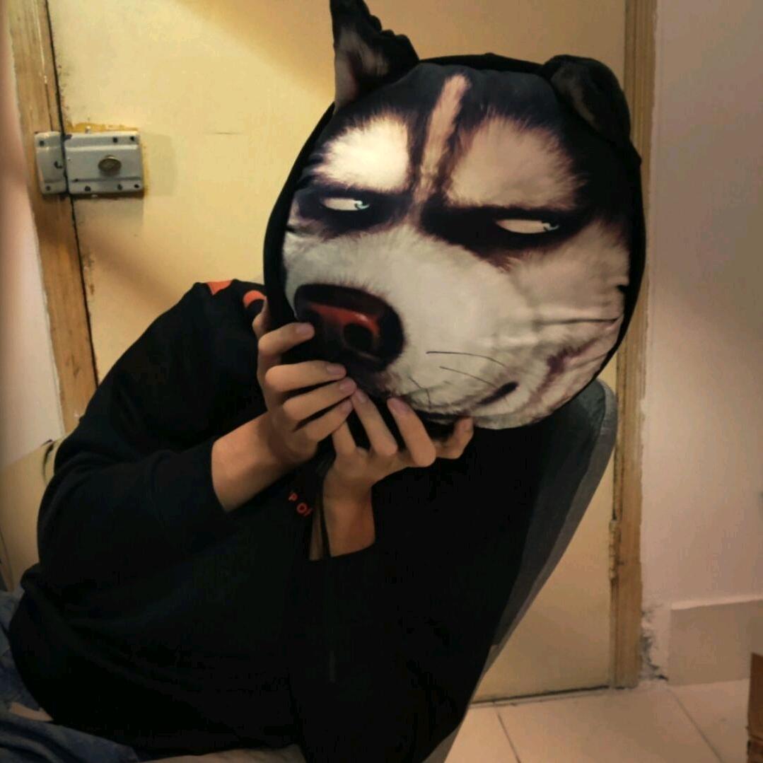 泥豪