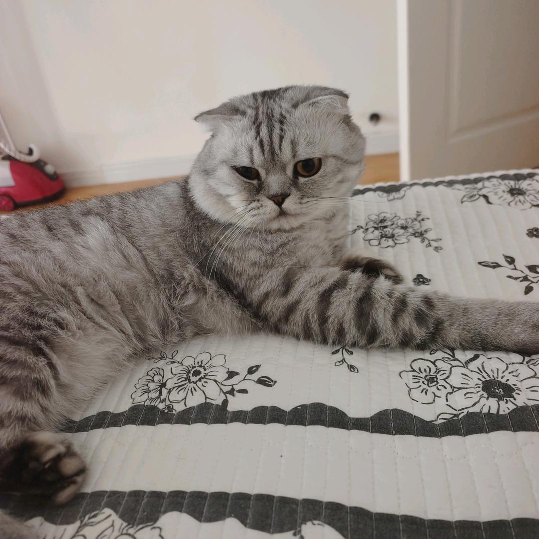 @啊龍呀（火夫）