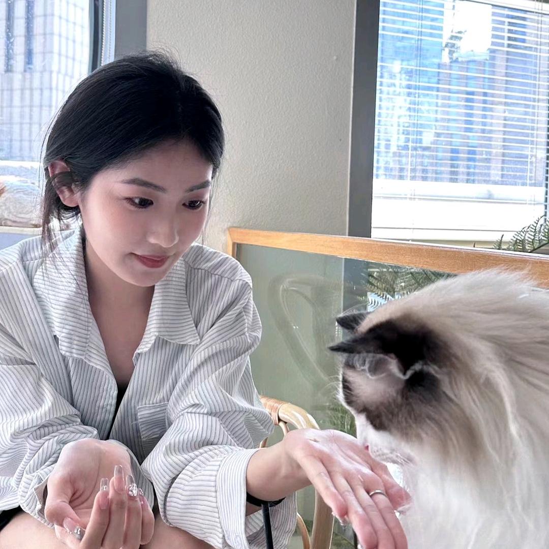 一只椰椰猫
