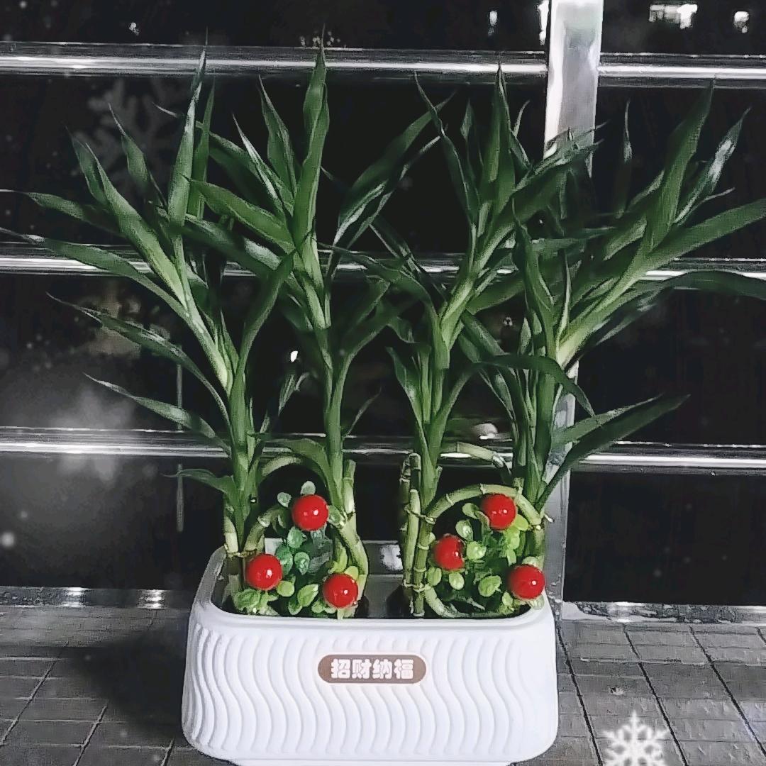 ღ᭄🍀爱财💰⃝悦己💞ঞ᭄