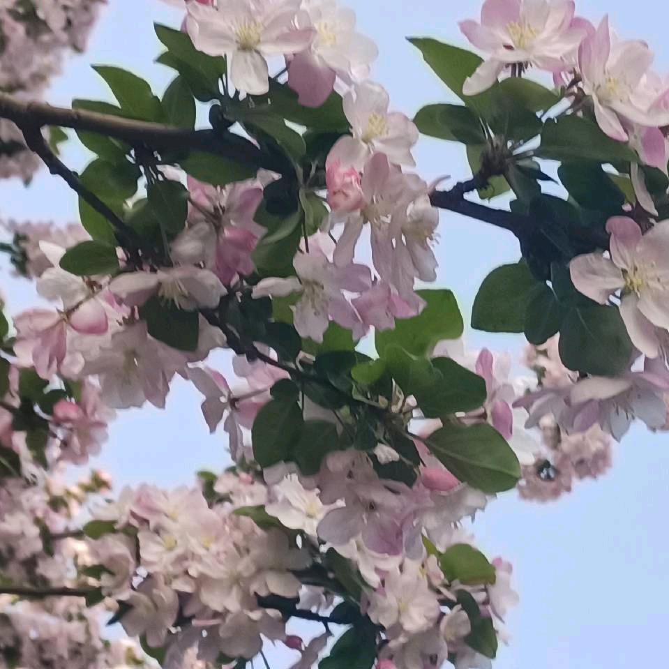 填写名字，丽丽