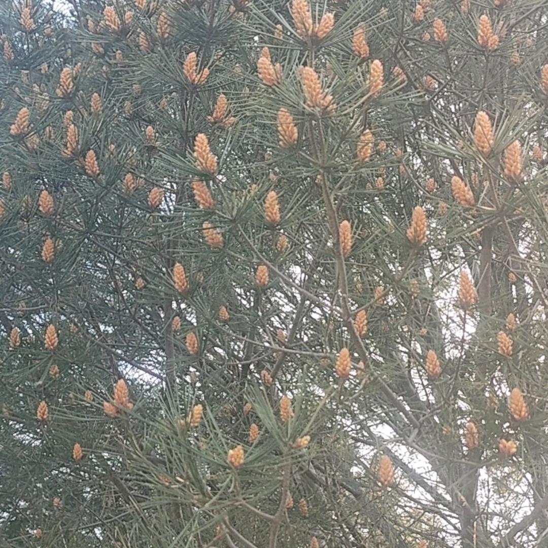 づ❤️ど非李莫属