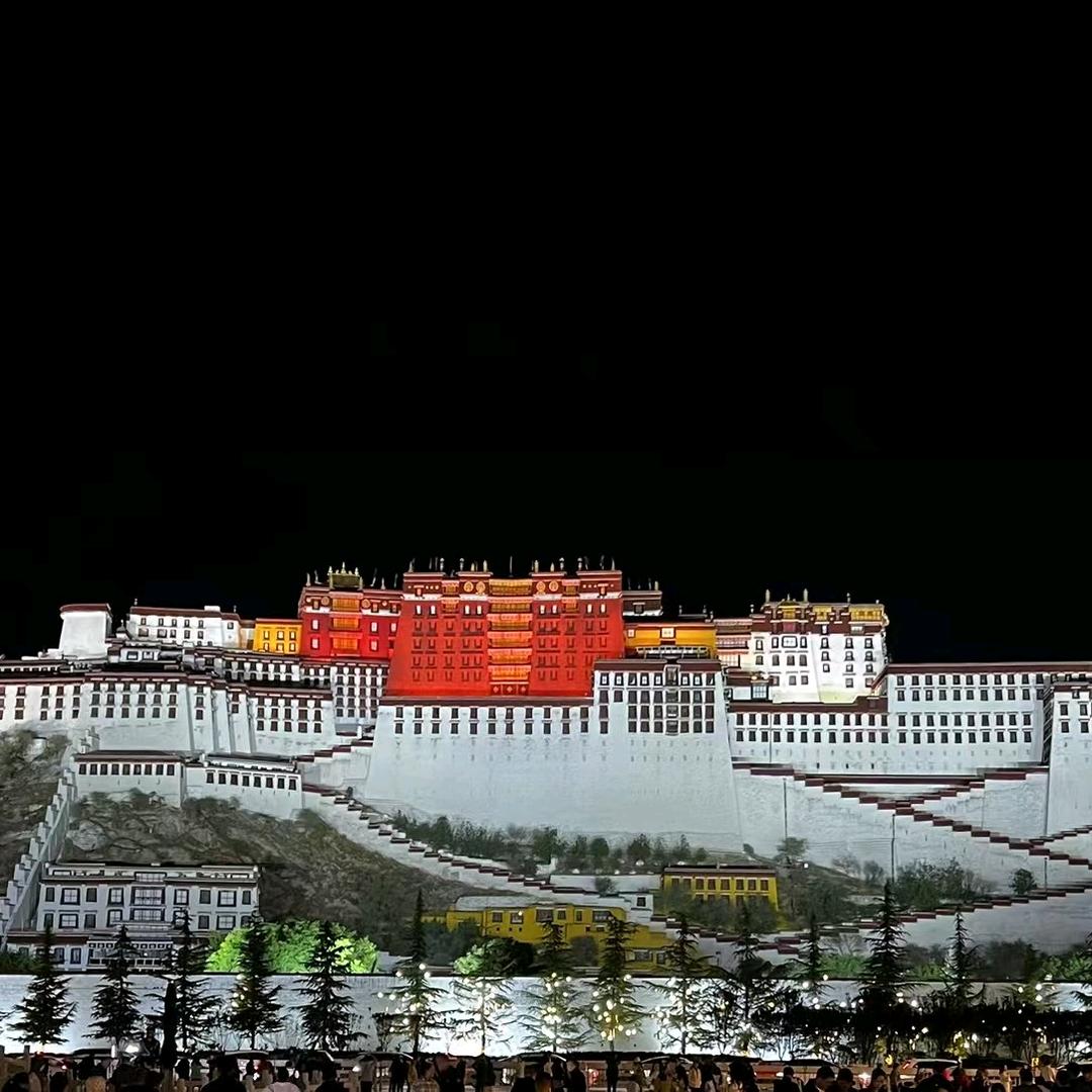 小黄不慌🍻（装修限流版）