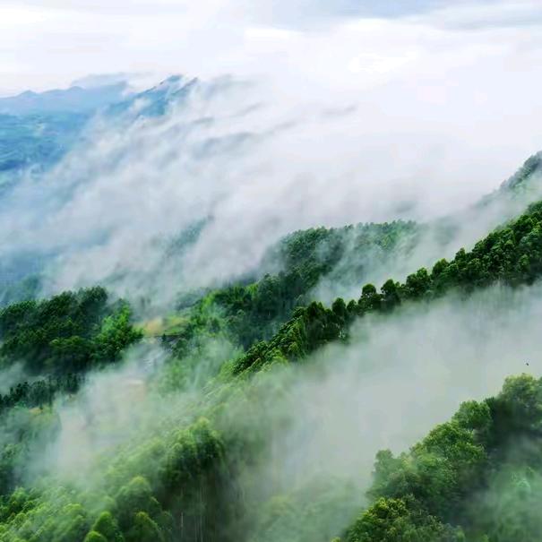 韶山党员