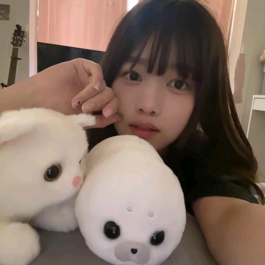 巷口猫