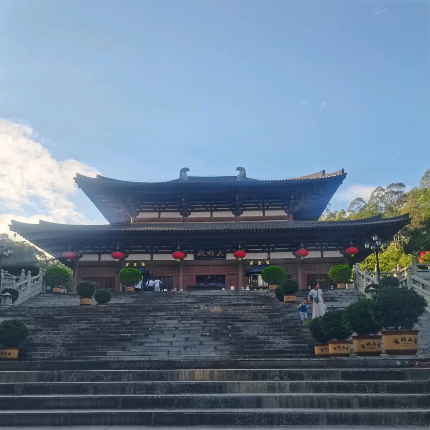 天选之人