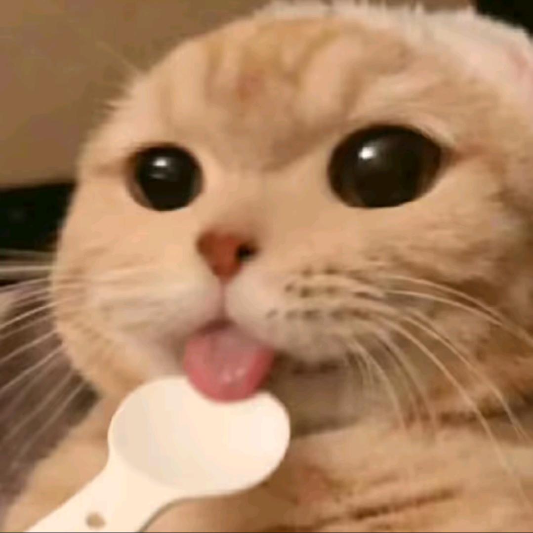 和平老六，主播