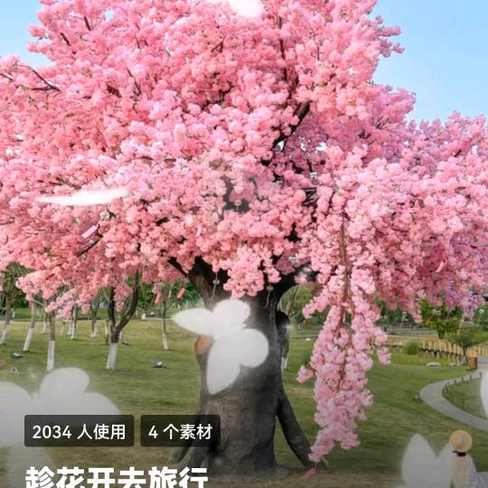 不想太多，过好每一天！！！！！！