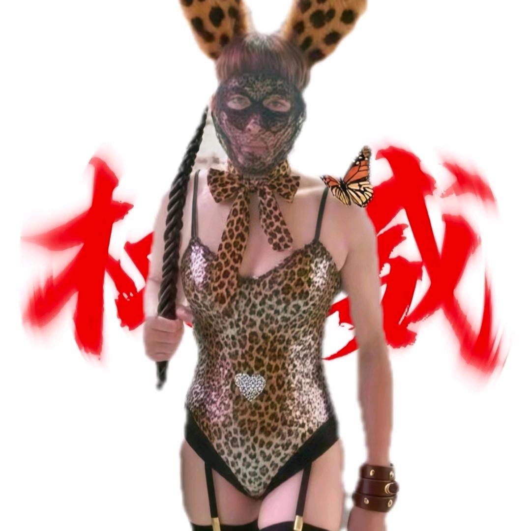 崔丁的皮燕子（豹纹版）
