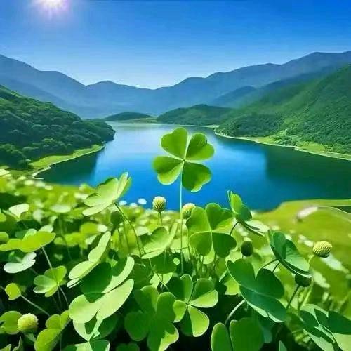 秋水一色