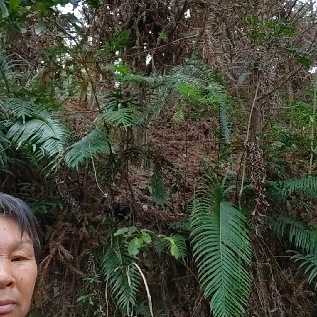 过好每一天的快乐自己