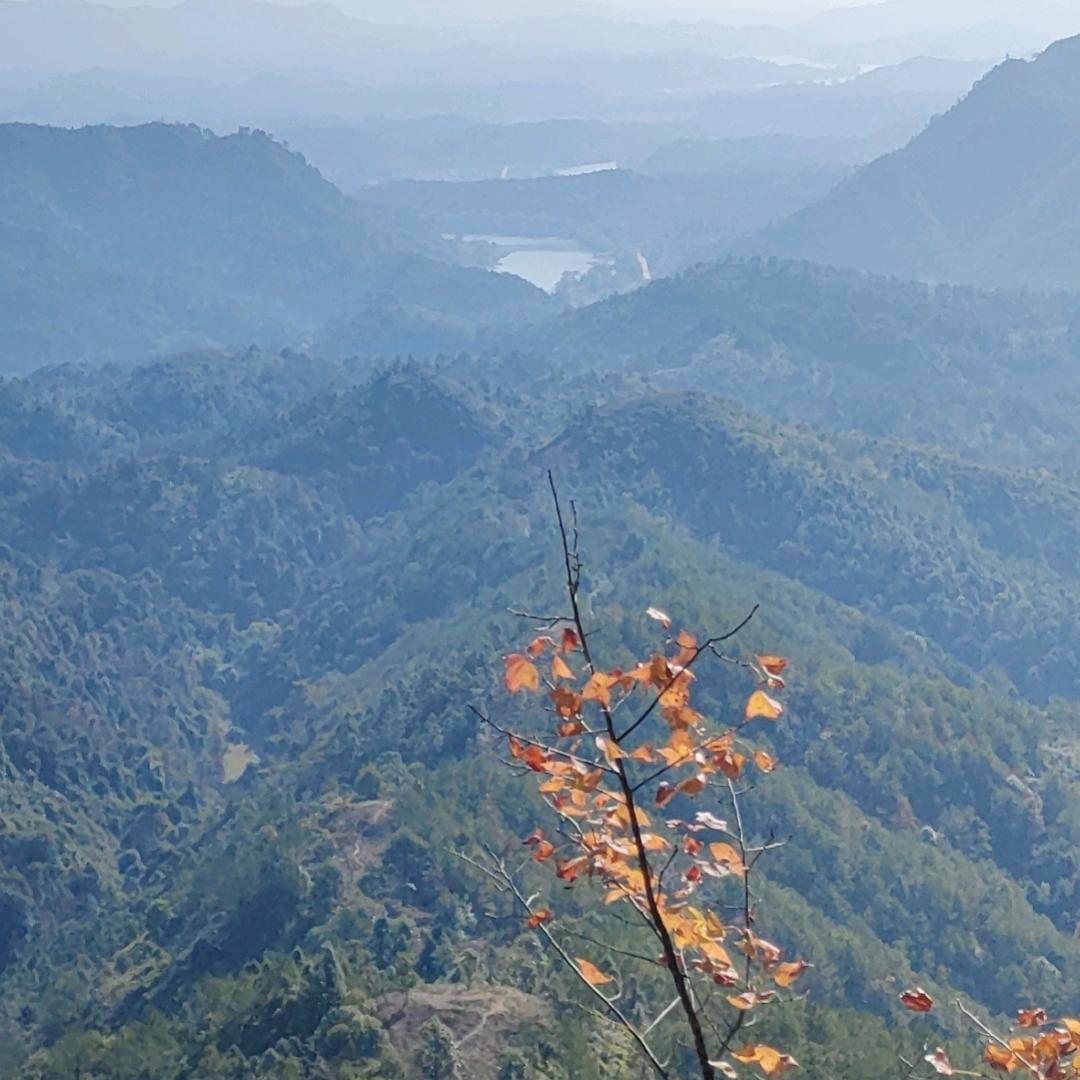 赵氏学力       (和平林寨严村)