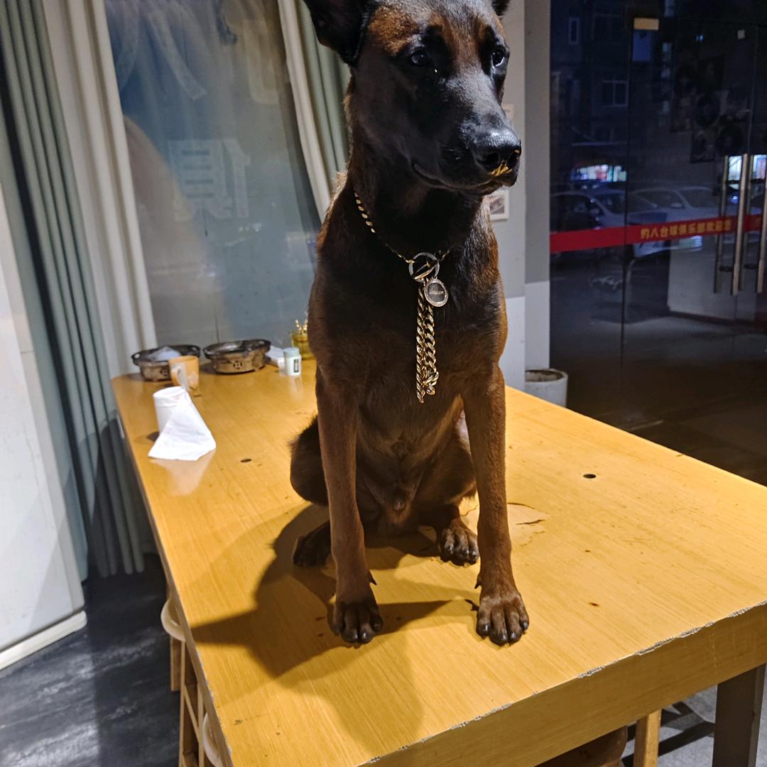 只看不刷得不到好