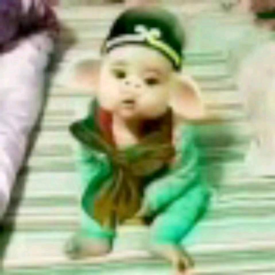 2014yyeLbobo
