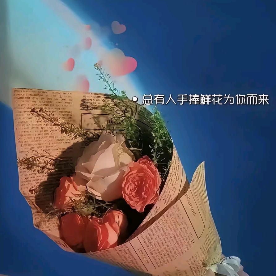 团购宠粉号