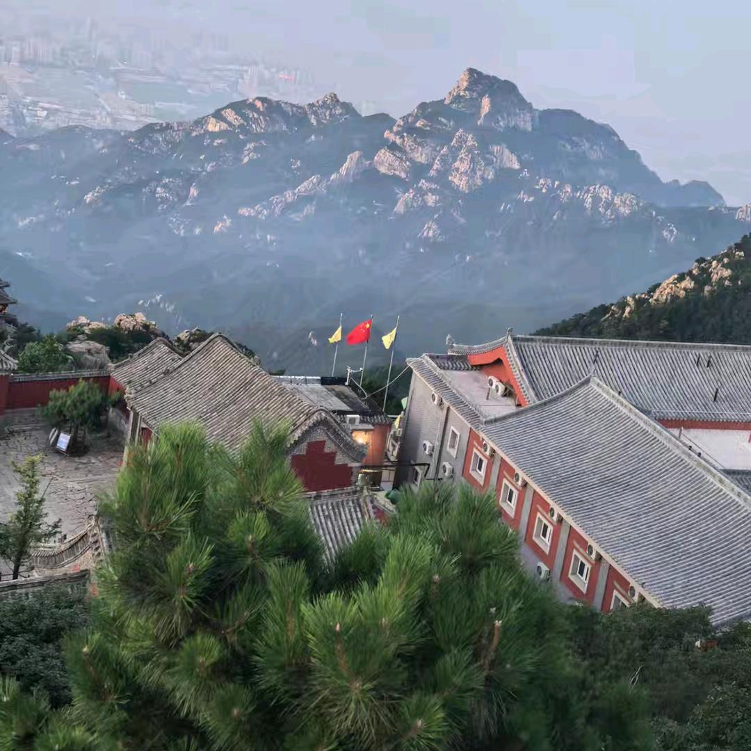 心不狠，晥S