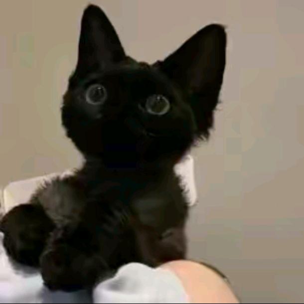 红楼